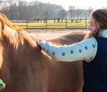 Equi Ease paardensportmassage